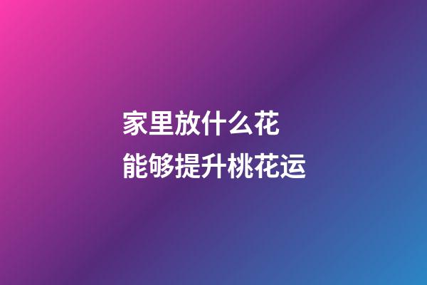 家里放什么花 能够提升桃花运